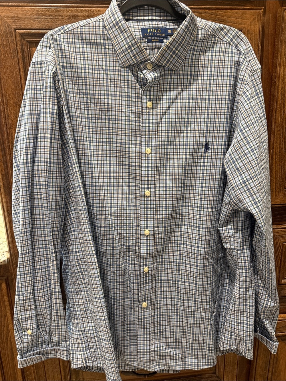 Polo by Ralph Lauren Blue and White Plaid Button-Up Shirt